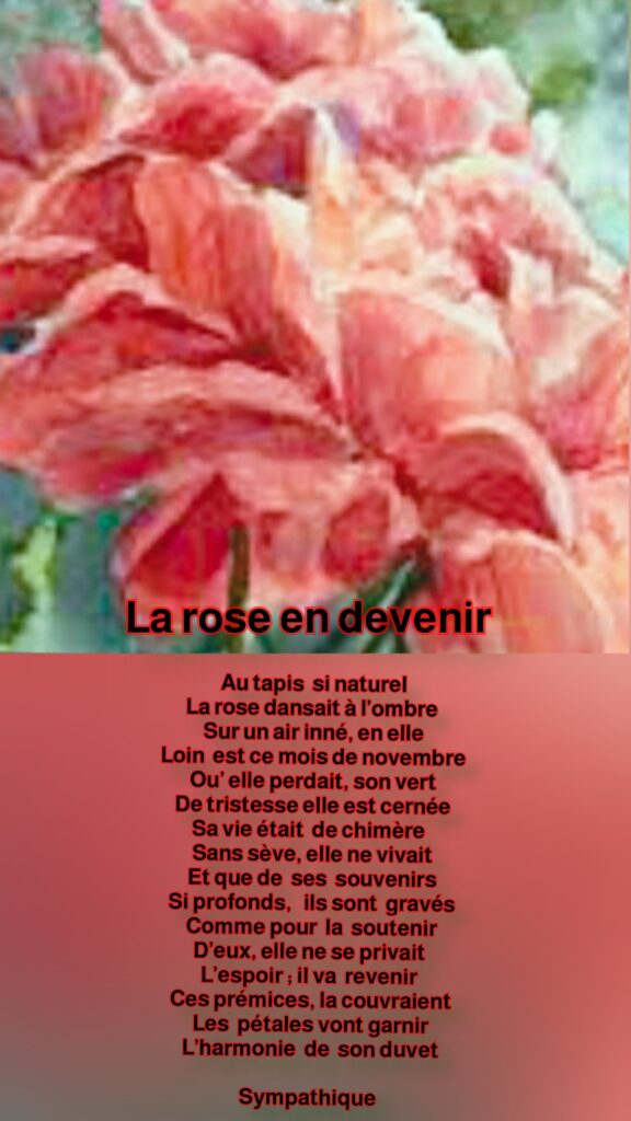 Sympathique : "La rose en devenir"
Mise en page créée par Sybilla pour oasisdesartistes.org