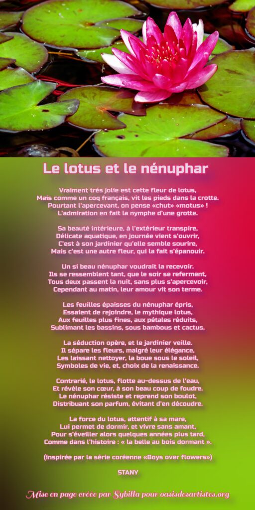 STANY : "Le lotus et le nénuphar" Juillet 2026

Mise en page créée par Sybilla pour oasisdesartistes.org
