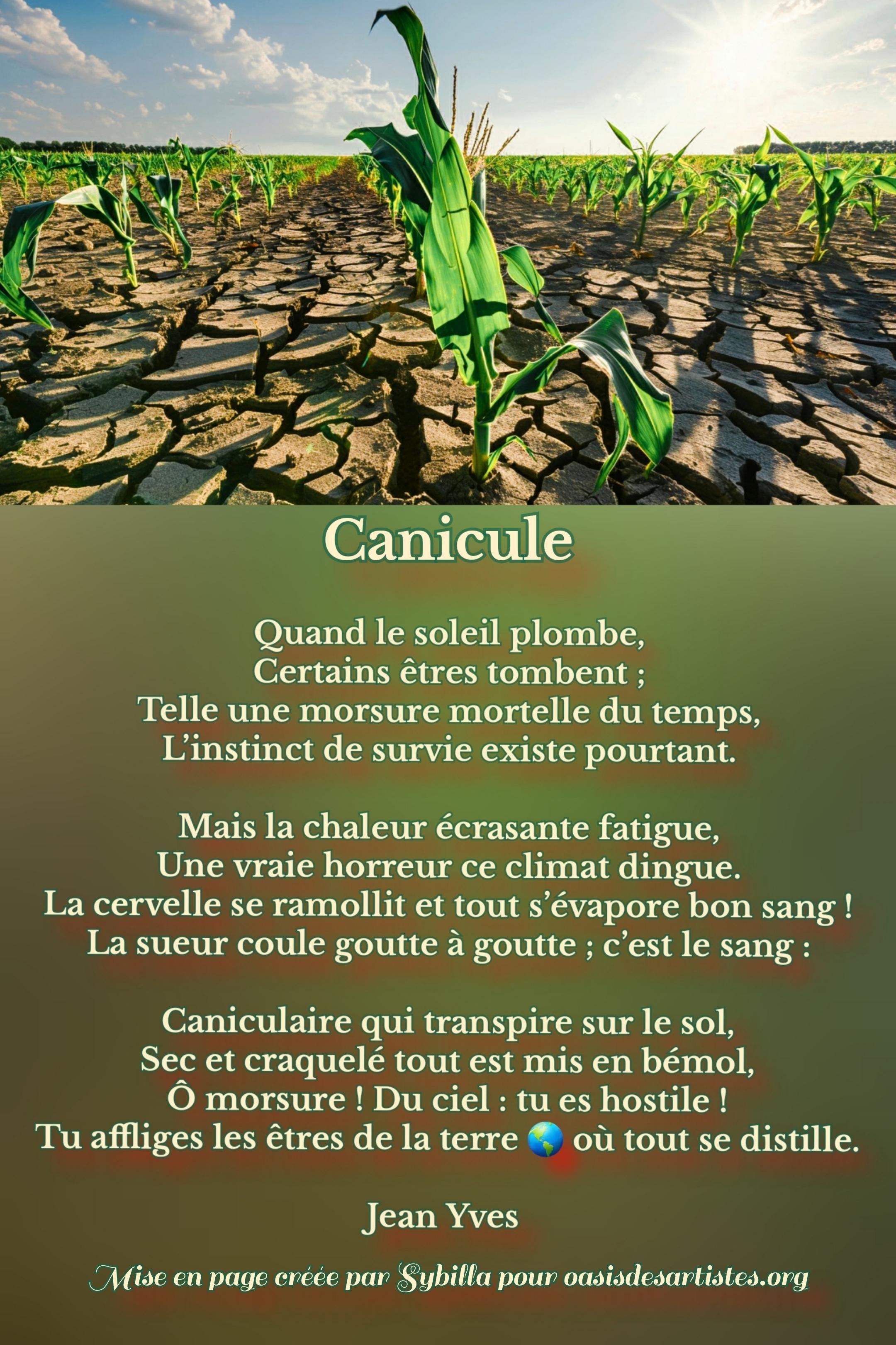 Jean Yves : "Canicule" Mise en page créée par Sybilla pour oasisdesartistes.org
